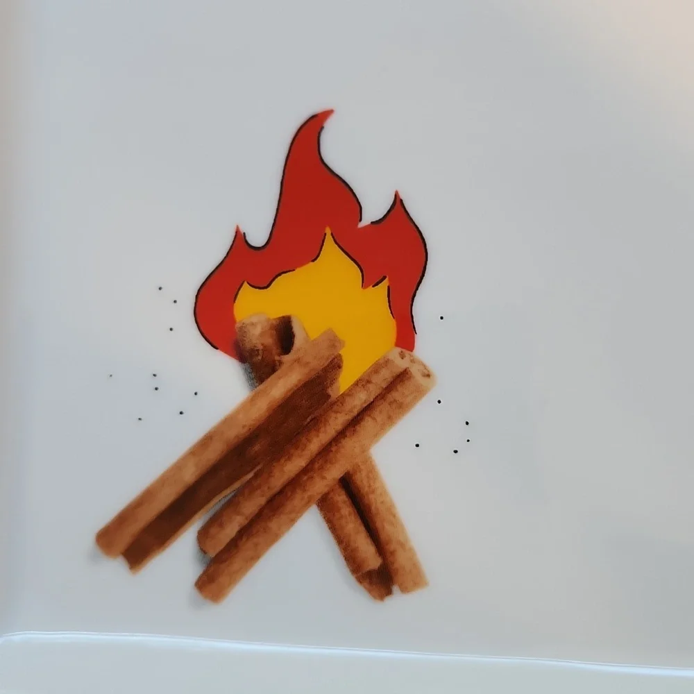 Crate & Barrel Oliver Cinnamon Stick Campfire Appetizer / Dessert Plates